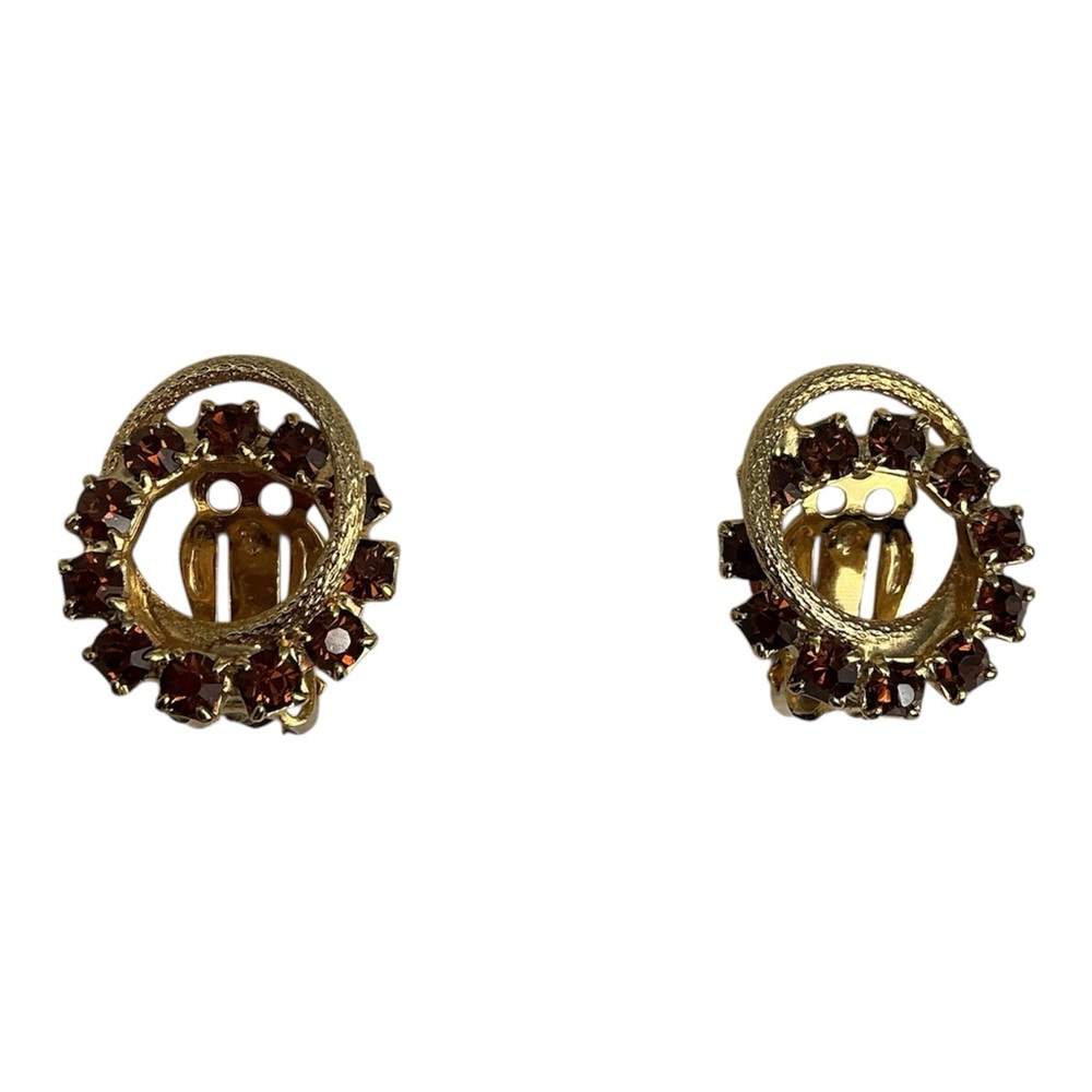 Elegant Gold and Brown Earrings